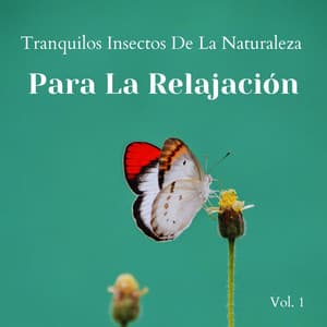 Tranquilos Insectos De La Naturaleza Para La Relajación Vol. 1 - Perspectiva de la naturaleza