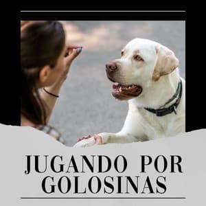 Jugando por Golosinas - Biblioteca de Música Para Mascotas