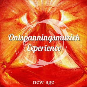 Ontspanningsmuziek Experience: Het Beste Van Ontspanning, voor Ontspannen en Slapen - Paradise Café