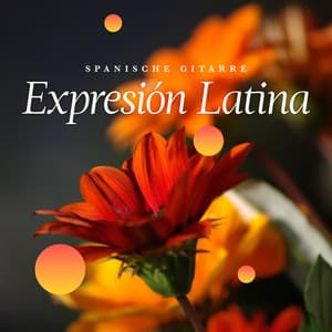 Expresión Latina - Spanische Gitarre