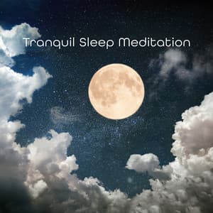 Tranquil Sleep Meditation: Gentle Binaural Waves and Calming Sounds of Nature for Restful Sleep and Lucid Dreaming - Relaxing Zen Music Therapy