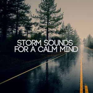 Storm Sounds for a Calm Mind - Rain Relaxation