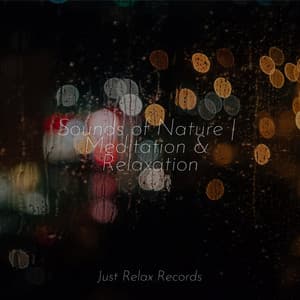 Sounds of Nature | Meditation & Relaxation - Relaxed Minds