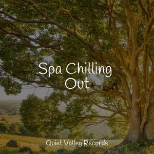 Spa Chilling Out - Meditation Zen