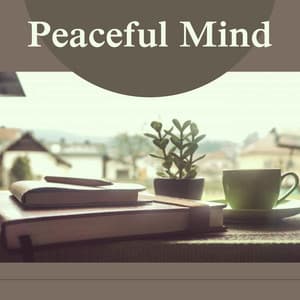Peaceful Mind – Best New Age Music to Study, Focus on Task, Learning Fast, Music to Help You with Homework - Study Music Universe