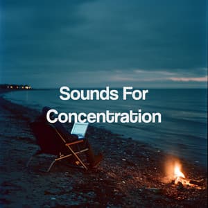Sounds For Concentration - Relajacion Del Mar