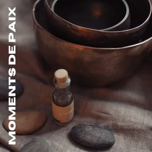 Moments de Paix - Musique de Relaxation
