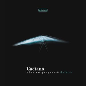 Caetano - Obra Em Progresso - Caetano Veloso