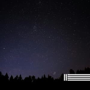 Night Sounds Compilation - Night Sounds