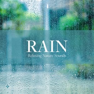 雨の音　自然音の癒し - ヒーリング・ライフ