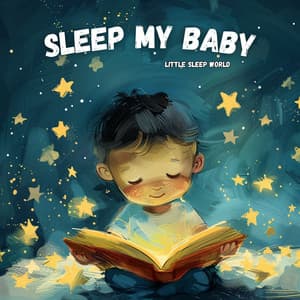 Sleep My Baby - Little Sleep World