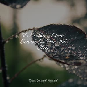 50 Soothing Storm Sounds for Peaceful Sleep - Musica para Dormir Dream House