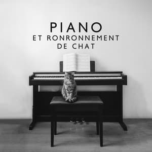 Piano et ronronnement de chat: Musique belle et relaxante pour soulager l'anxiété et le stress - Study Piano Music Ensemble