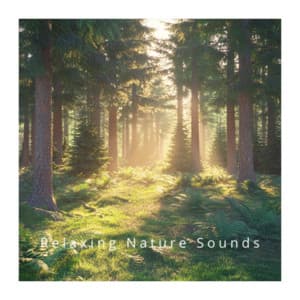Gentle Rainfall: Soothing Nature Sleep Music - Relaxing Nature Sounds