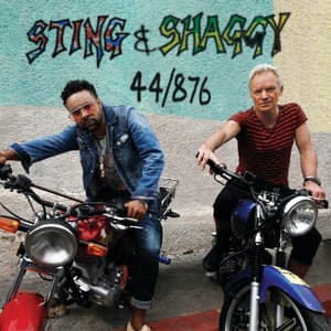 44/876 - Sting
