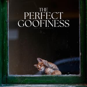 The Perfect Goofiness - Relaxing Cat Music