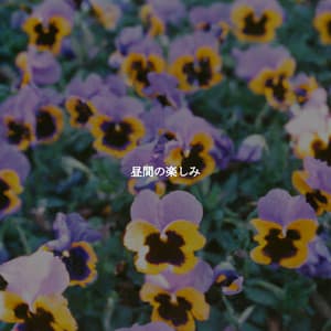 昼間の楽しみ - Relaxing Bossa Nova Artisanal