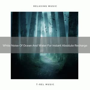White Noise Of Ocean And Water For Instant Absolute Recharge - Sleep Dimension