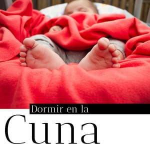 Dormir en la Cuna: 22 Canciones de Música Relajante para Dormir Bebés en 5 Minutos - Musica para Bebes