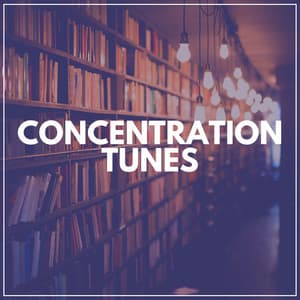 Concentration Tunes - Music for Work