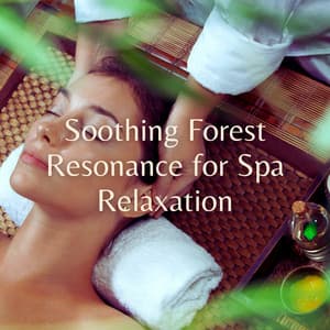 Soothing Forest Resonance for Spa Relaxation - The Rainforest Collective