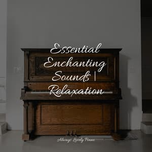 Enjoy These 50 Piano Pieces for Mental Focus - Chillout Cafe Music