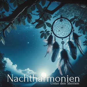 Unter den Sternen: Nachtharmonien - Schlafmusik Akademie