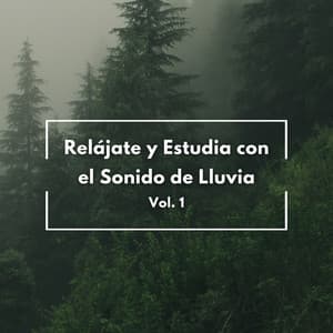 Relájate Y Estudia Con El Sonido De Lluvia Vol. 1 - Sonido de lluvia