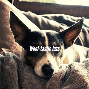 Woof-tastic Jazz - Relaxing Dog Music Playlists