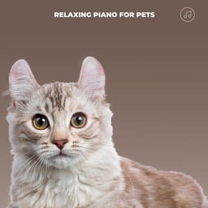 Lullabies For Lap Cats - Relaxing Piano For Pets