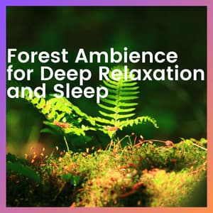 Forest Ambience for Deep Relaxation and Sleep - Forest Sounds Channel