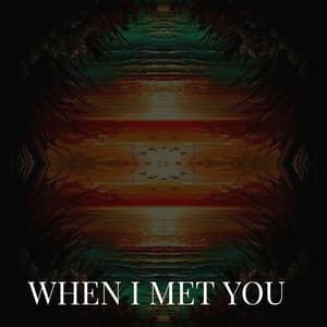 WHEN I MET YOU - LO-FI BEATS