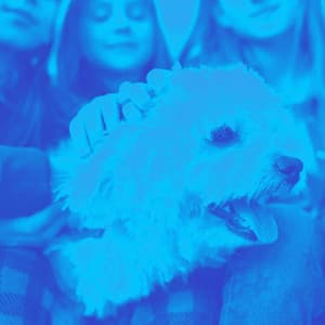 Music for Puppy Blues - Chill My Pooch