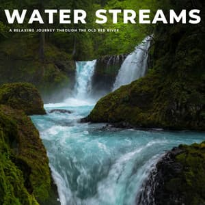 Water Streams: A Relaxing Journey Through The Old Red River - Waters Of Deluge