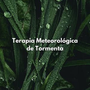 Terapia Meteorológica De Tormenta - Tormentas eléctricas y sonidos de tormenta de lluvia