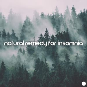Natural Remedy for Insomnia: Forest Ambience for Sleep Problems - Soothing Sounds Universe