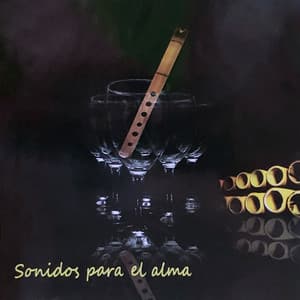 Sonidos para el Alma - Ariel Ramírez