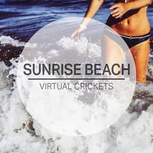 Sunrise Beach - Virtual Crickets