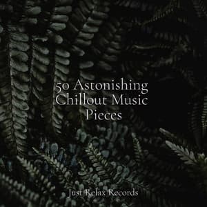 50 Astonishing Chillout Music Pieces - Relaxing Spa Music