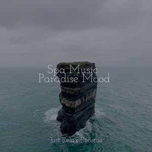 Spa Music Paradise Mood - Musica Romantica