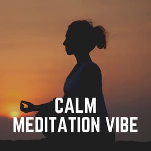 Calm Meditation Vibe - Hypnotherapy