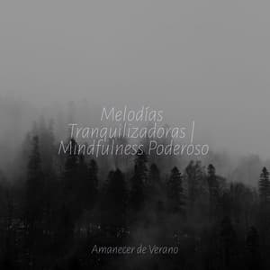 Melodías Tranquilizadoras | Mindfulness Poderoso - Massage Therapy Music