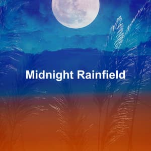 Midnight Rainfield - Relaxation Sleep Meditation