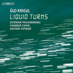 Ülo Krigul: Liquid Turns - Ülo Krigul