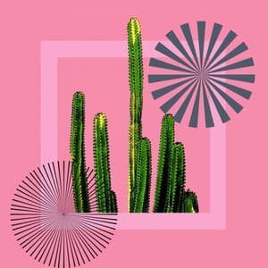 Music for Acoustic Memory - lofi