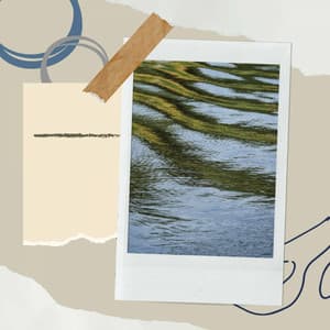 Music for Crazy Night - Coffee Table Jazz Radio