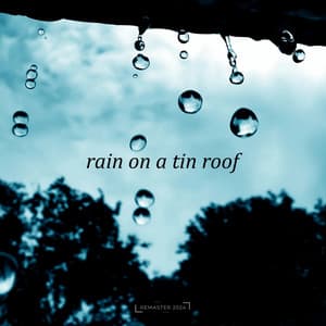 Rain on a Tin Roof - Background Noise From TraxLab