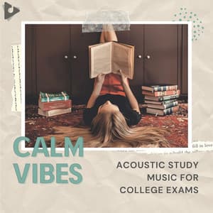 Acoustic Study Music for College Exams - Calm Vibes