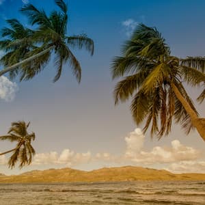50 Coastal Songs: Tropical Waters - Seascapers