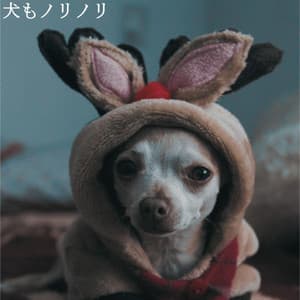 犬もノリノリ - Hotel Lounge Deluxe